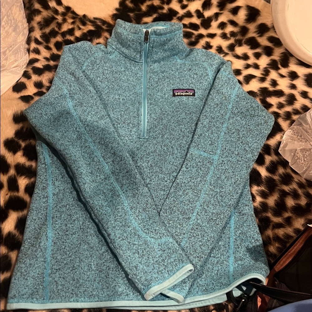 Patagonia Light Blue Better Sweater Fleece Pullover